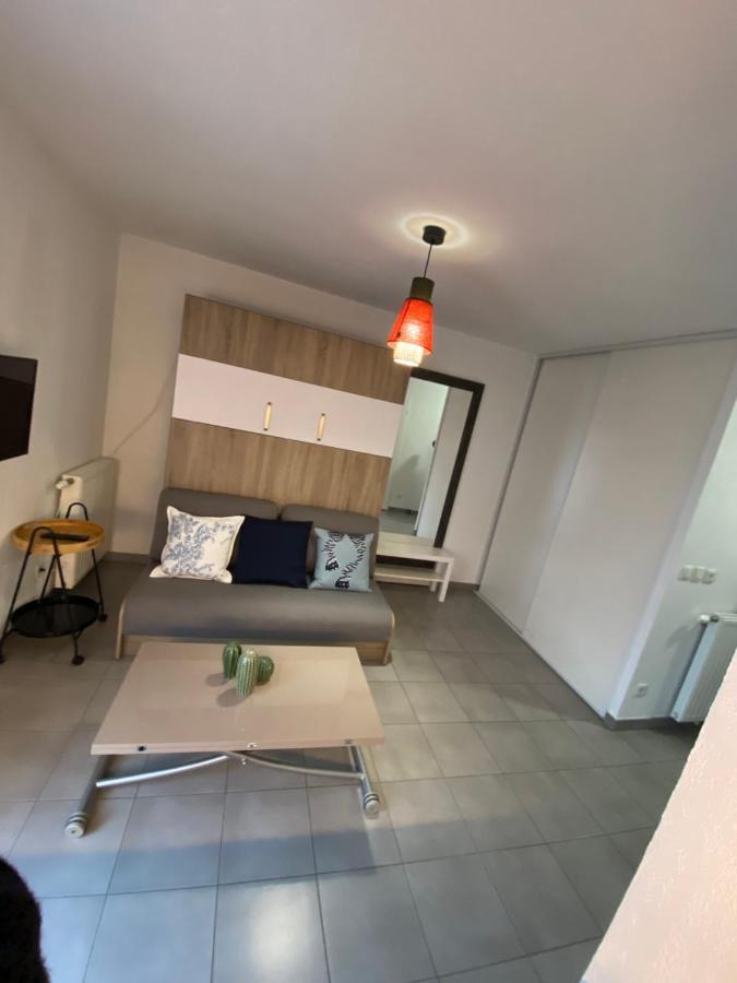 Studio Chic Little Boheme Proche Hopitaux, 15 Mn Du Centre Lyon Buitenkant foto
